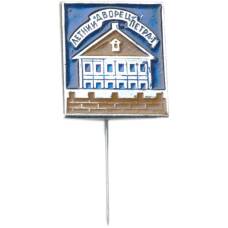 Значок Летний дворец Петра I