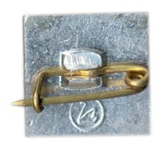 Значок Дубна (вид 2)