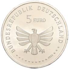 Монета 5 евро 2023 года G Германия «Чудесный мир насекомых — Махаон» (реверс)