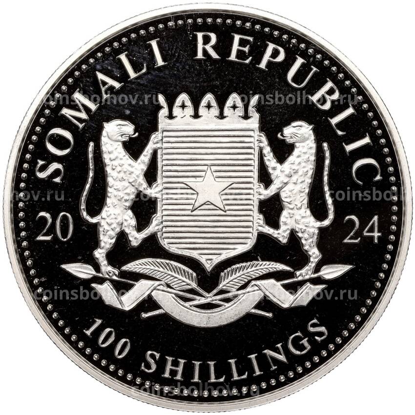 Монета 100 шиллингов 2024 года Сомали «Африканская дикая природа — Африканский слон» (вид 2)