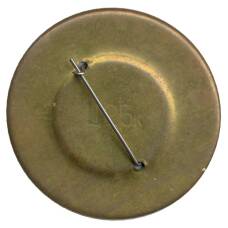 Значок Карлсон (вид 2)