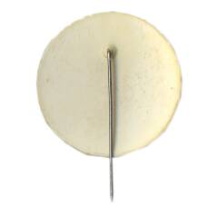 Значок Кишинев -выставка сделано в Польше -1974 год (вид 2)