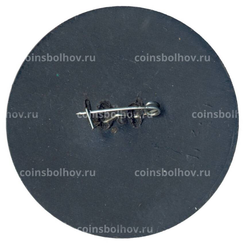 Значок Московский международный марафон мира (вид 2)