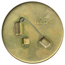 Значок Дональд Дак (вид 2)