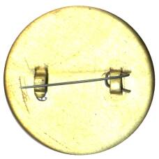 Значок Ростов -на -Дону (вид 2)