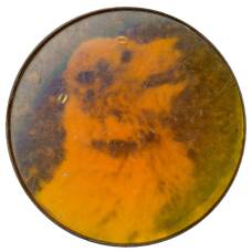 Значок Собака