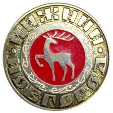 Значок Нижний Новгород