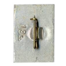 Значок Иркутск (вид 2)