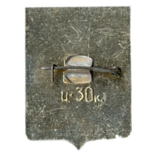 Значок Новосибирск (вид 2)