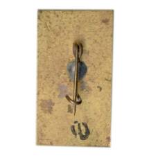 Значок Канев (вид 2)