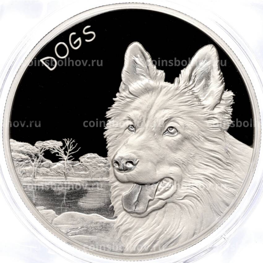 Монета 50 центов 2023 года Фиджи «Собаки — Овчарка»