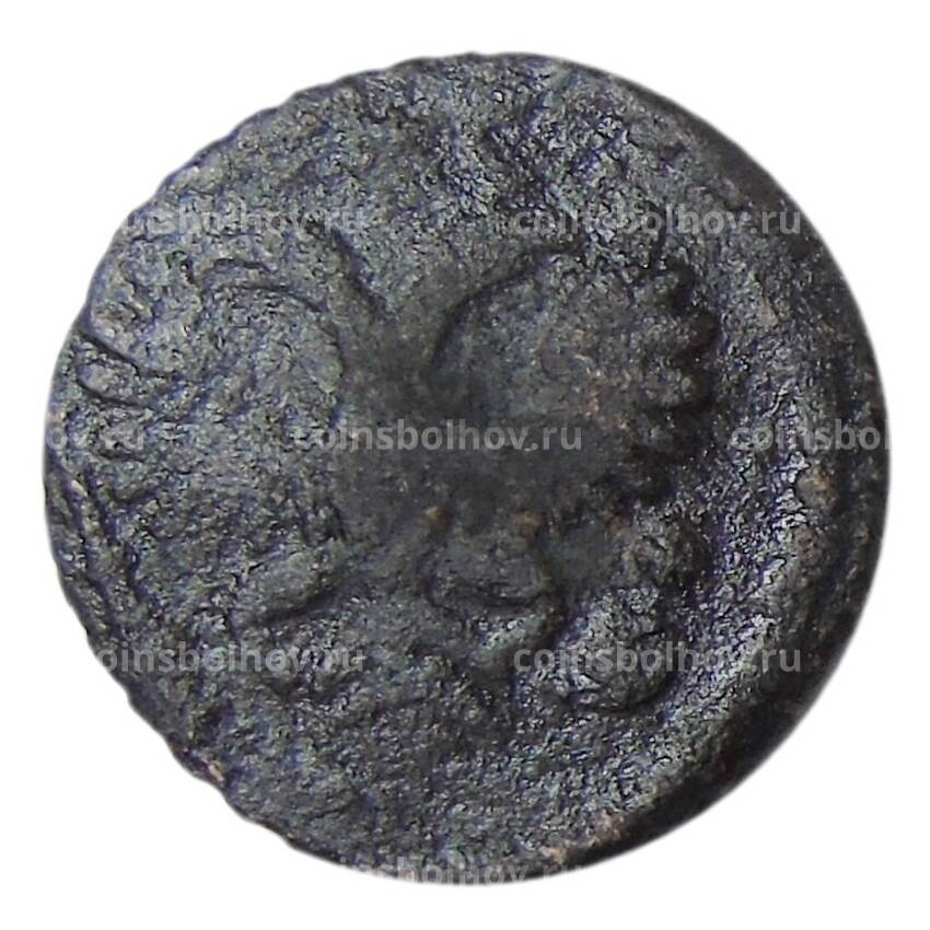 Монета Полушка 1731 года (вид 2)