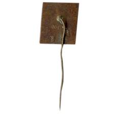 Значок Саласпилс (вид 2)