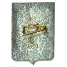 Значок Крестцы (вид 2)