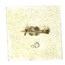 Значок ИР 77 (вид 2)