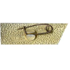 Значок Горький (вид 2)