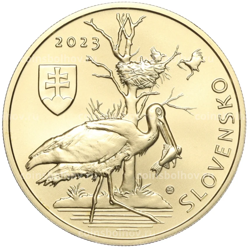 Монета 5 евро 2023 года Словакия «Черный аист» (вид 2)