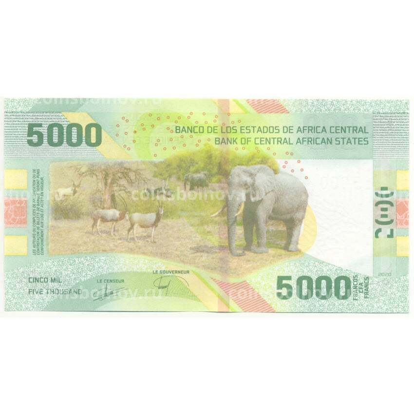 Банкнота 5000 франков 2020 года Центральная Африка (вид 2)