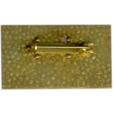 Значок Армия ГДР (Германия) (вид 2)