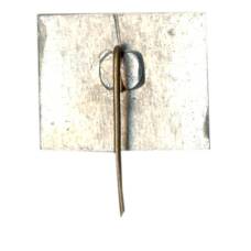 Значок Витенай (вид 2)