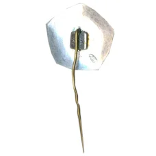 Значок Союз Советских обществ дружбы (вид 2)