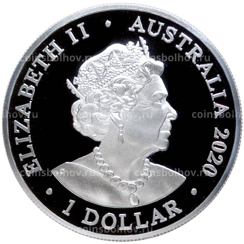 Монета 1 доллар 2020 года Австралия — Длиннорылый продельфин (вид 2)