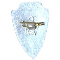 Значок Волгоград (вид 2)