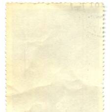 Марка С.С.Кобуладзе «Шота Руставели» 1981 год (вид 2)