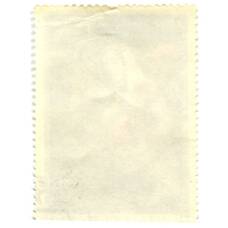 Марка Ш.Г.Кикодзе «Гурийка» 1981 год (вид 2)