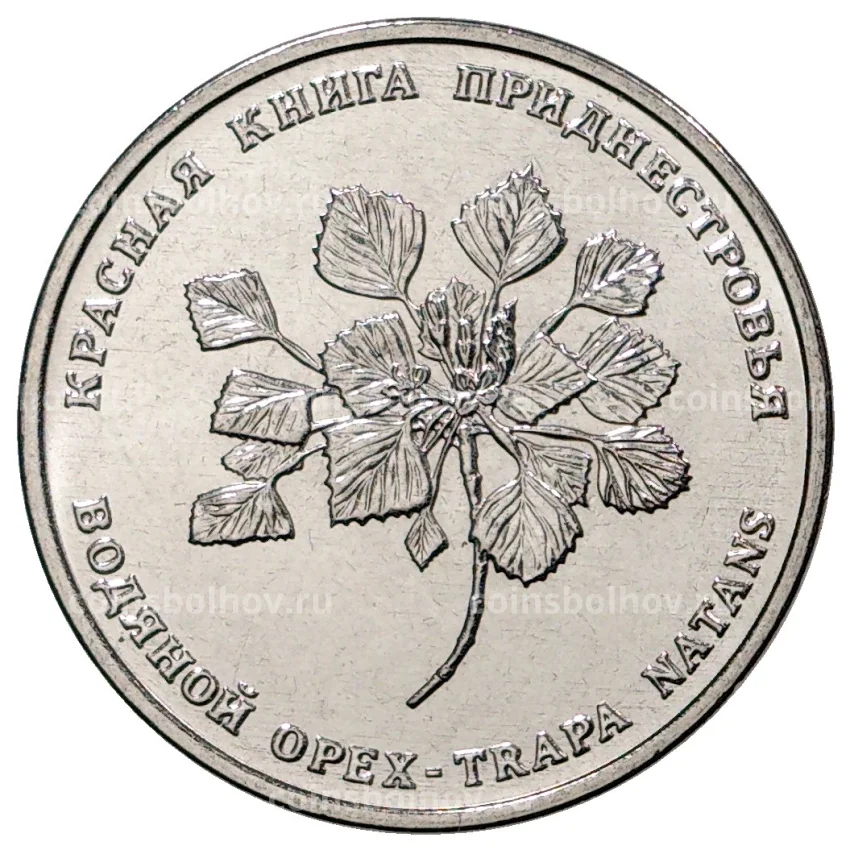 Монета 1 рубль 2019 года Приднестровье «Красная книга Приднестровья — Водяной орех»