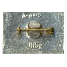 Значок Боровое (вид 2)