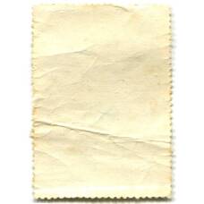 Марка Г.Г.Ряжский «Делегатка» 1972 год (вид 2)