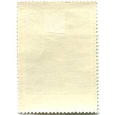 Марка Н.И.Струнников «Партизан Н.И.Лунев» 1972 год (вид 2)