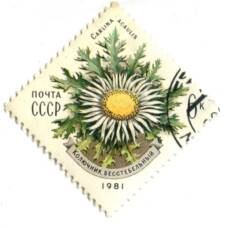 Марка Колючник бесстебельный 1981 год