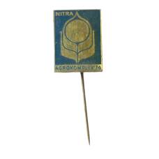 Значок Выставка Агрокомплекс -74