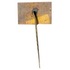 Значок Вильнюс (вид 2)