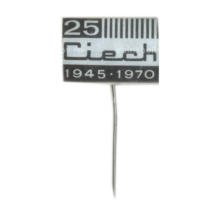 Значок Выставка 25 лет Чехословакии — 1970 год