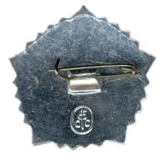 Значок ГТО  — IV ступень (вид 2)