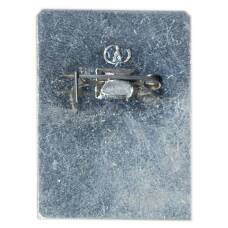 Значок С.И.Танеев (вид 2)