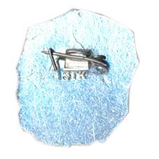 Значок Иван Франко (вид 2)