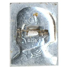 Значок В.Белинский (вид 2)