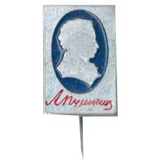 Значок А.Пушкин