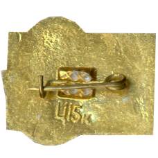 Значок Леся Украинка (вид 2)