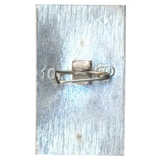 Значок И.Тургенев (вид 2)