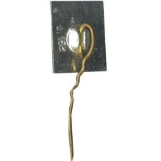 Значок  Абай Кунанбаев (вид 2)