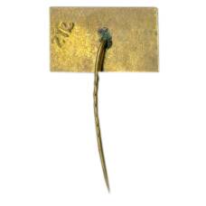 Значок Вильнюс (вид 2)