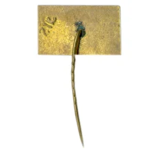 Значок Вильнюс (вид 2)