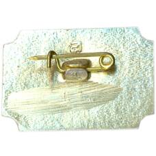 Значок Санкт-Петербург — Дворец-музей А.Д.Меншикова (вид 2)