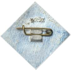 Значок Дмитрий Фурманов — 100 лет со дня рождения (вид 2)