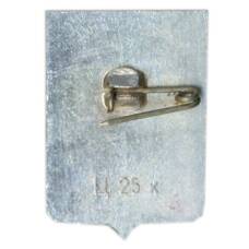 Значок Старая Русса (вид 2)